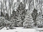 (image for) Winter Wonders